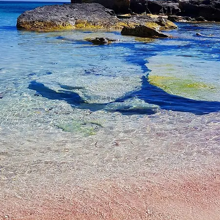 Lamore * Favignana